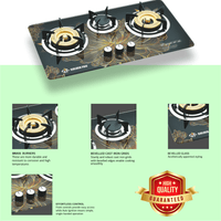 Golden Fuji Built - In Hob GT - 3A33 (BRASS BURNER) - Bright House Electronics